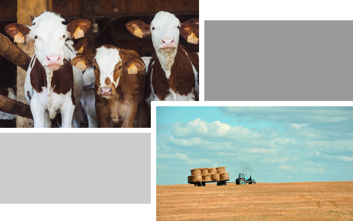 Harper ES Data group