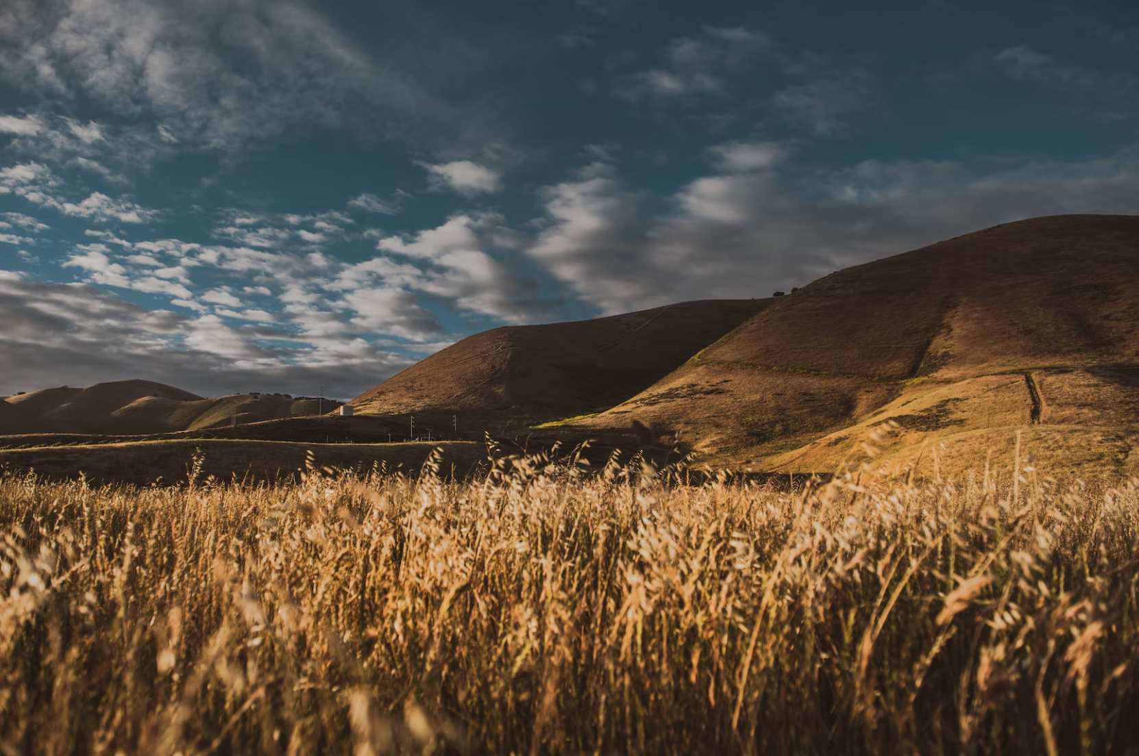 Harper ES Data group